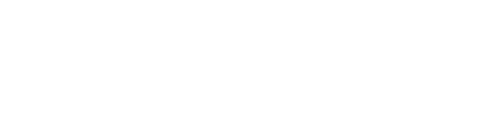costimizer-logo